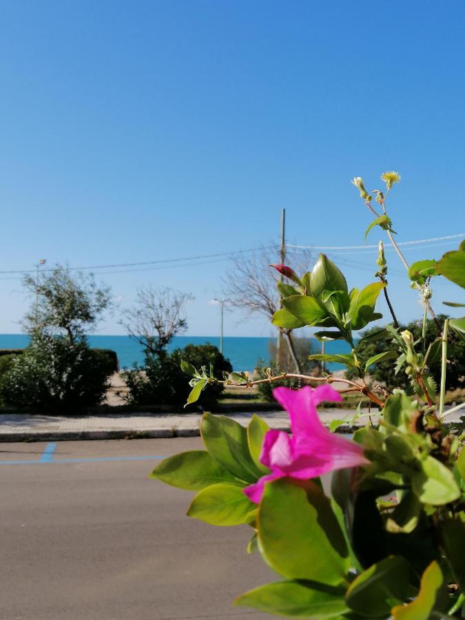 B&B Mareen Santa Maria al Bagno Zewnętrze zdjęcie